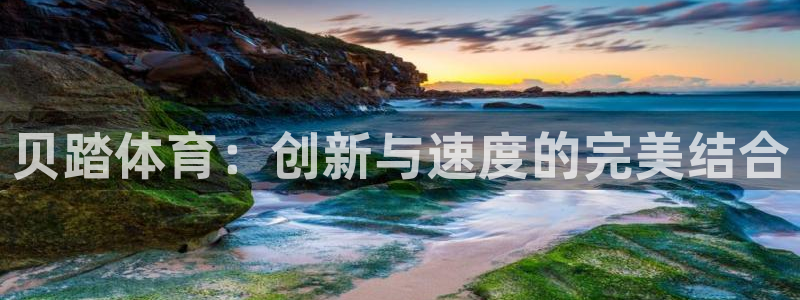 捷豹体育比分网：贝踏体育：创新与速度的完美结合