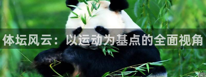 捷豹体育com下载官网：体坛风云：以运动为基点的全面视角