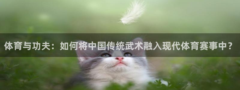 捷豹体育合法网站吗：体育与功夫：如何将中国传统武术融入现代体育赛事中？
