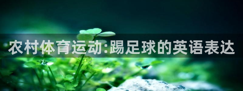 捷豹体育是真的么：农村体育运动:踢足球的英语表达