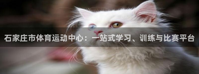 捷豹体育比分 数据：石家庄市体育运动中心：一站式学习、训练与比赛平台