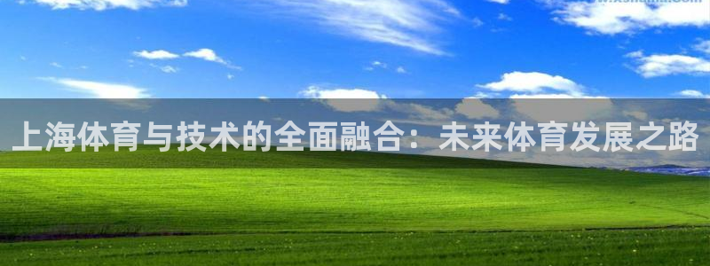 捷豹体育比分网：上海体育与技术的全面融合：未来体育发展之路